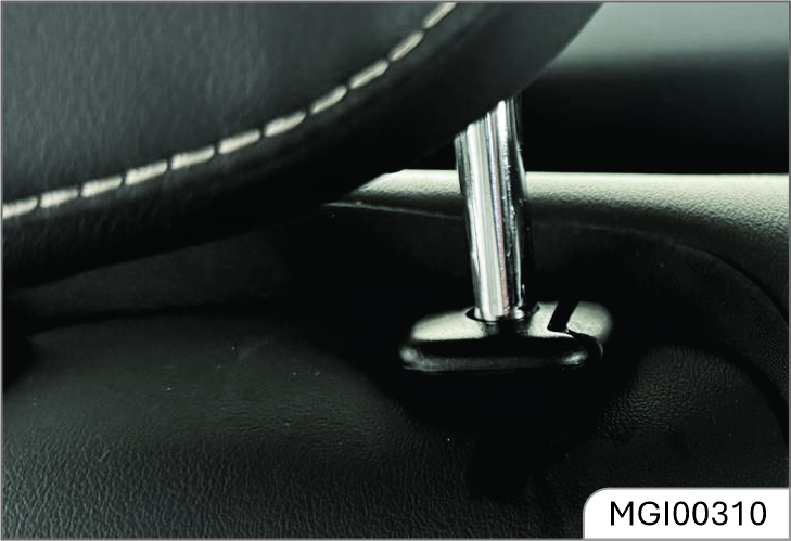 mg-windsor