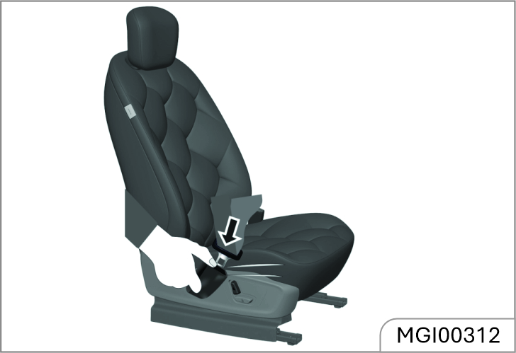 mg-windsor