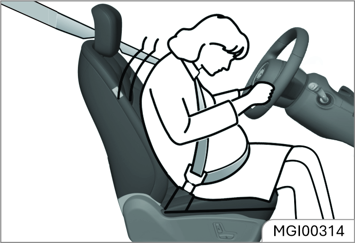 mg-windsor