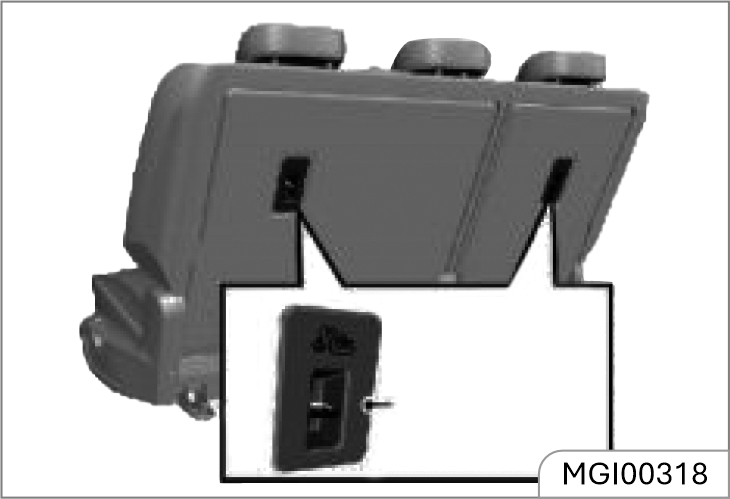 mg-windsor