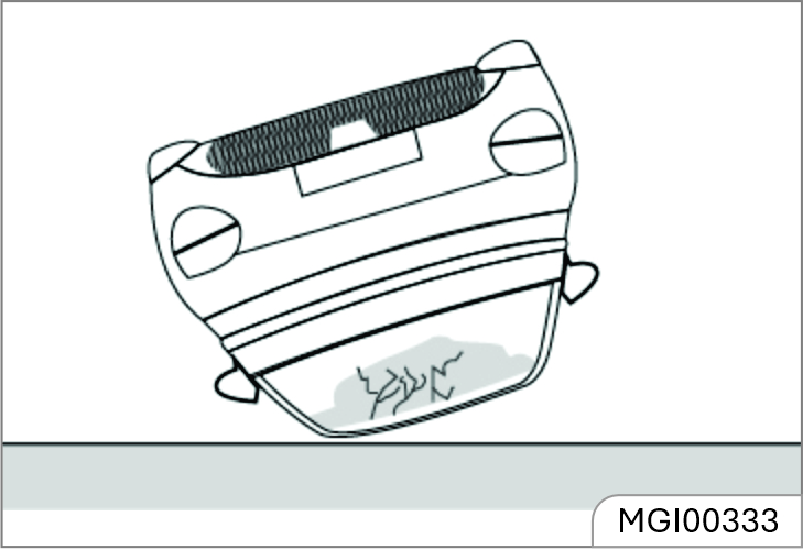 mg-windsor
