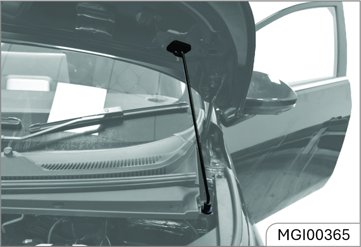 mg-windsor