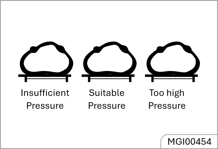 mg-windsor